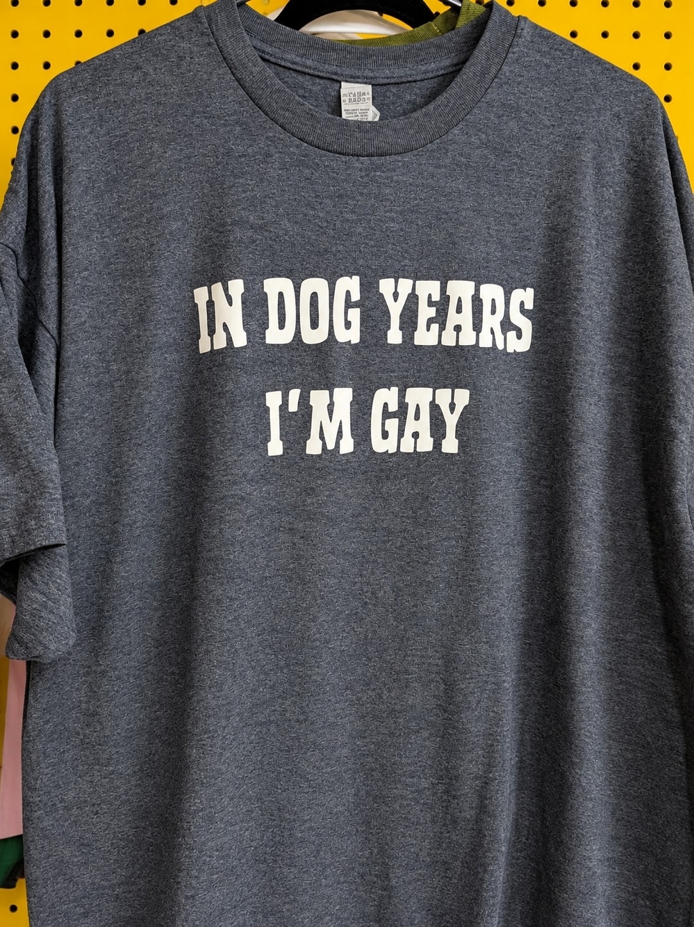 "In Dog Years I'm Gay"